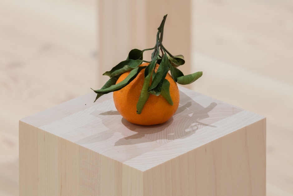Installation view, Darren Bader, fruits, vegetables, fruit and vegetable salad, Whitney Museum of American Art, New York NY, 15 January – 17 February 2020  © Darren Bader. Courtesy the Artist and Whitney Museum of American Art, New York.
