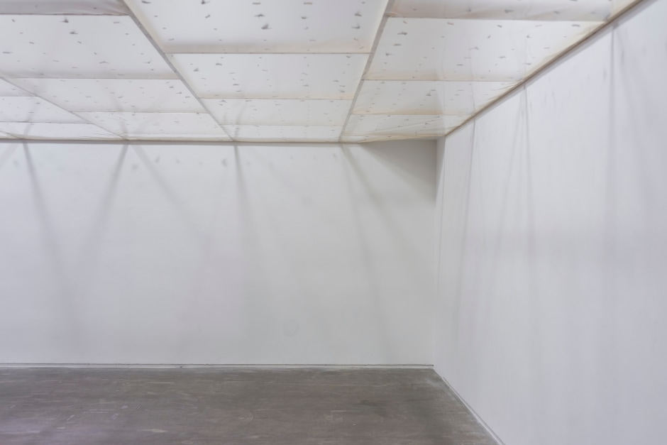 Installation view, Gabriel Kuri, spending static to save gas, The Douglas Hyde Gallery, 31 January - 12 September 2020  © Gabriel Kuri. Courtesy of the artist and the Douglas Hyde Gallery.  Photo: Louis Haugh