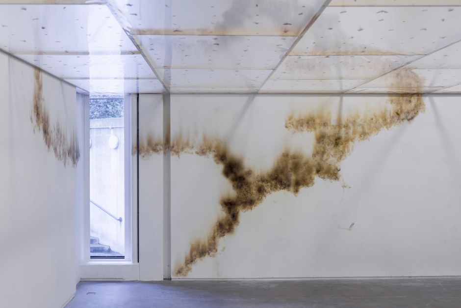 Installation view, Gabriel Kuri, spending static to save gas, The Douglas Hyde Gallery, 31 January - 12 September 2020  © Gabriel Kuri. Courtesy of the artist and the Douglas Hyde Gallery.  Photo: Louis Haugh