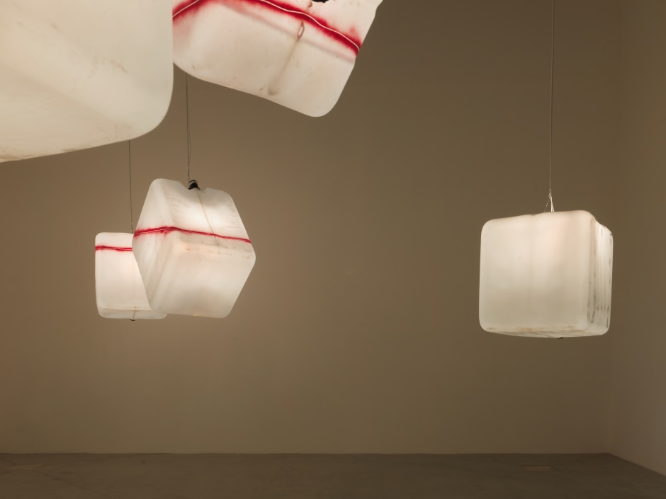 Installation view, Klara Liden, Le Consortium, 20 June - 27 September 2015  © Klara Liden. Courtesy of the Artist and Consortium Museum.  Photo: André Morin