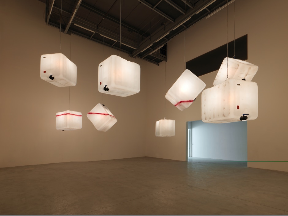 Installation view, Klara Liden, Le Consortium, 20 June - 27 September 2015  © Klara Liden. Courtesy of the Artist and Consortium Museum.  Photo: André Morin