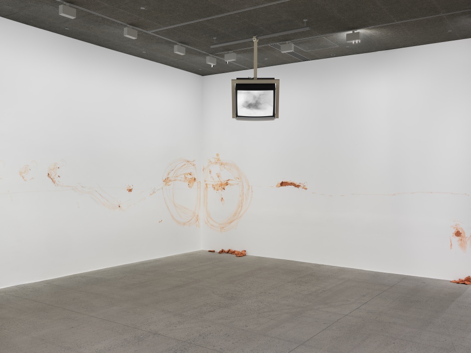 Installation view, Matthew Barney, SECONDARY, Fondation Cartier, Paris, 08 June - 8 September 2024  © Matthew Barney. Courtesy the Artist and Fondation Cartier.  Photo: Eva Herzog