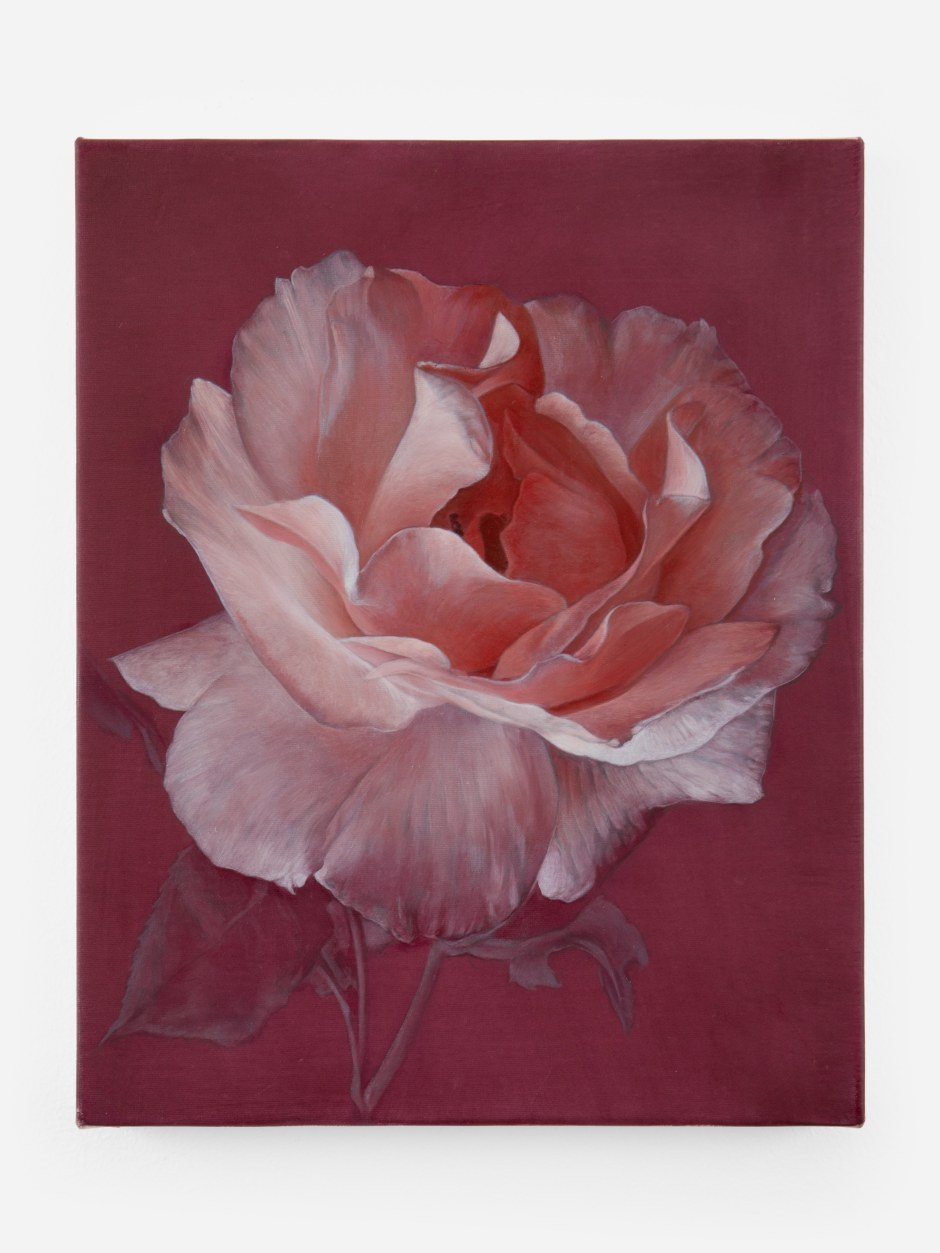 Don Brown  Blush 2024 oil on canvas  25.7 x 20.5 x 2.2 cm / 10 ⅛ x 8 ⅛ x ⅞ in