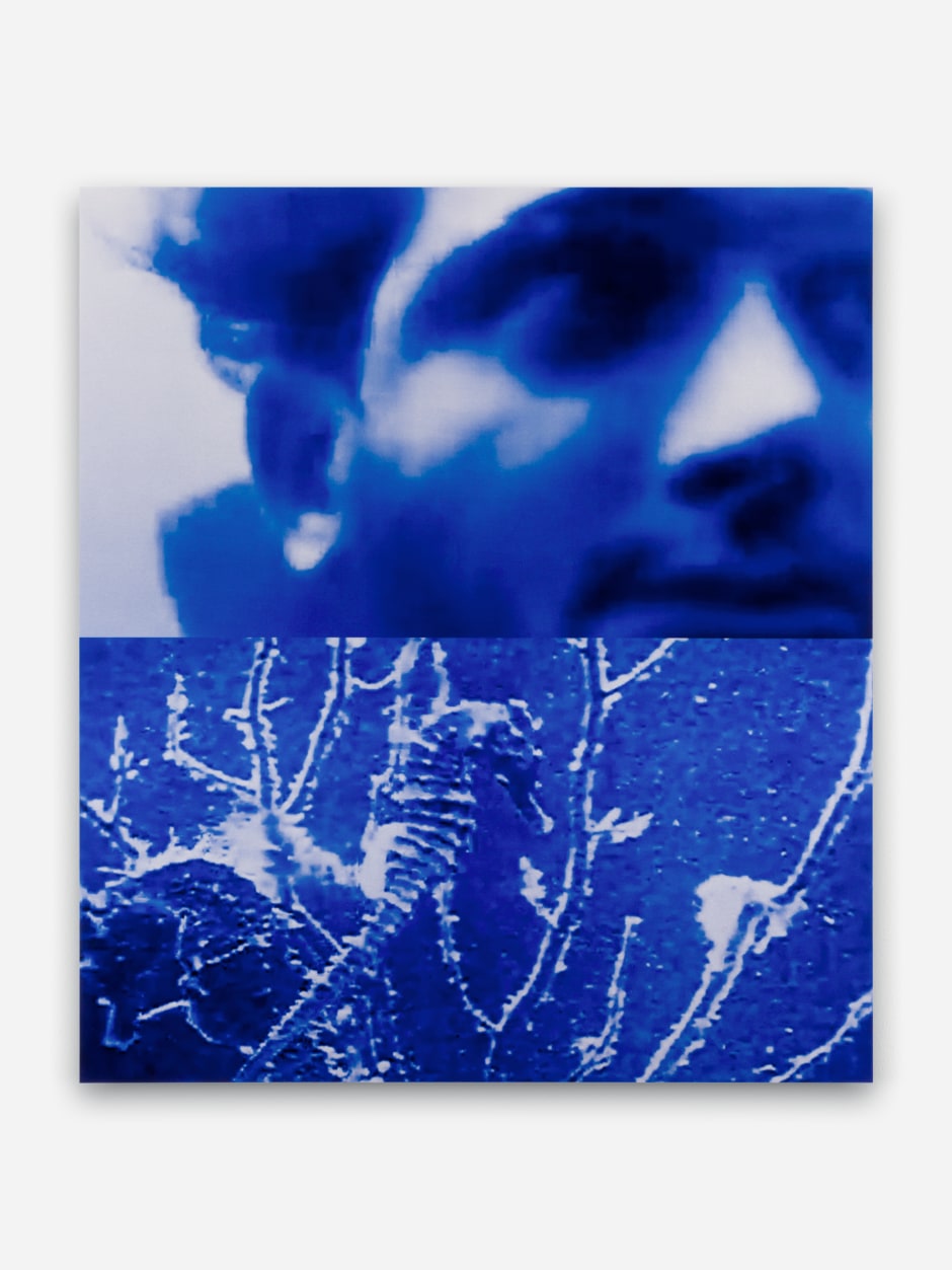 TJ Wilcox  To Live at Our Ease , 2024  Not signed or dated  ChromaLuxe on aluminium  66 x 58.4 x 2.1 cm / 26 x 23 x ⅞ in  unique