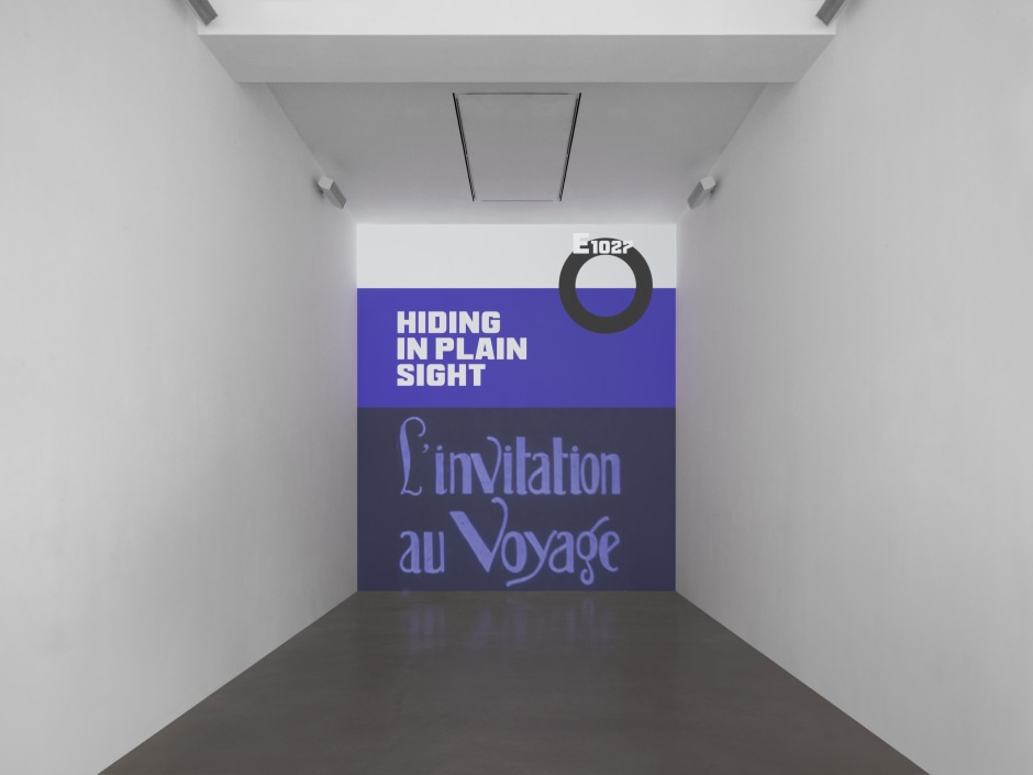 T.J. Wilcox  Hiding in Plain Sight , 2024  digital video Editing: Morgana Birch  dur: 10 min 26 sec, looped