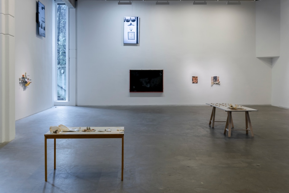 Installation view, Uri Aran, Take This Dog For Example, The Douglas Hyde Gallery of Contemporary Art, Dublin, Ireland, 31 March - 25 June 2023  © Uri Aran. Courtesy of the Artist and The Douglas Hyde Gallery of Contemporary Art, Dublin.  Photo: Louis Haugh