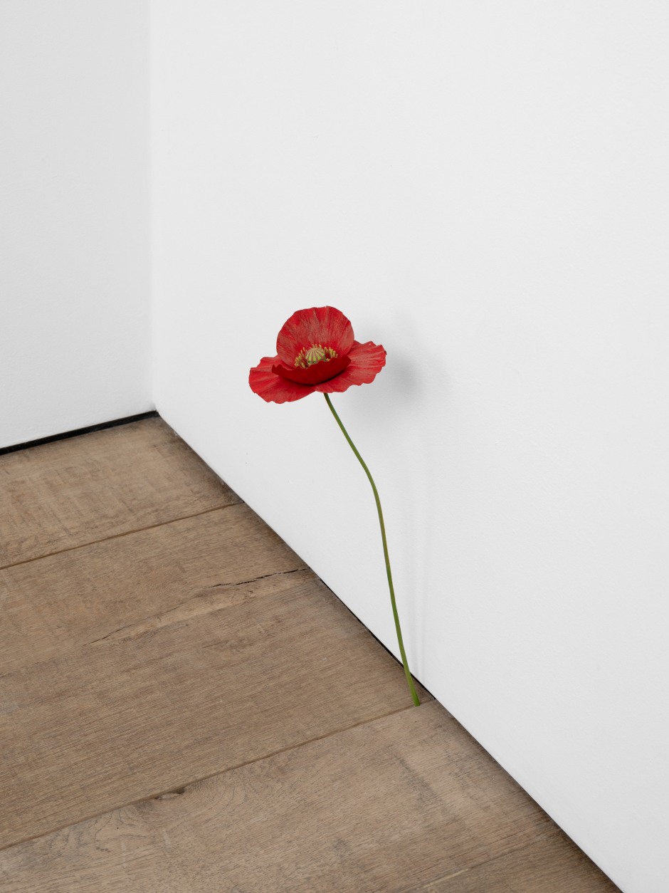 Poppy, 2024  painted on wood  29 x 9 x 8 cm / 11 ⅜ x 3 ½ x 3 ⅛ in  © Suda Yoshihiro. Courtesy of the Artist and Sadie Coles HQ, London.  Photo: Arthur Gray