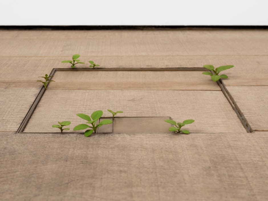 Weeds, 2025  painted on wood  each: 1 x 1 x 1 cm / ⅜ x ⅜ x ⅜ in - 4 x 4 x 1 cm / 1 ⅝ x 1 ⅝ x ⅜ in overall (8 parts): 30 x 24 x 1 cm / 11 ¾ x 9 ½ x ⅜ in