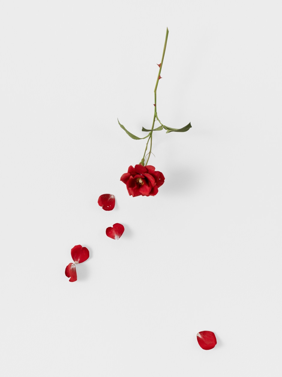 Rose, 2025  painted on wood  installation dimensions (rose and petals) 224 x 39 x 17 cm / 88 ¼ x 15 ⅜ x 6 ¾ in dimensions (rose): 33 x 17 x 13 cm / 13 x 6 ¾ x 5 ⅛ in  © Suda Yoshihiro. Courtesy the Artist and Sadie Coles HQ, London.  Photo: Arthur Gray