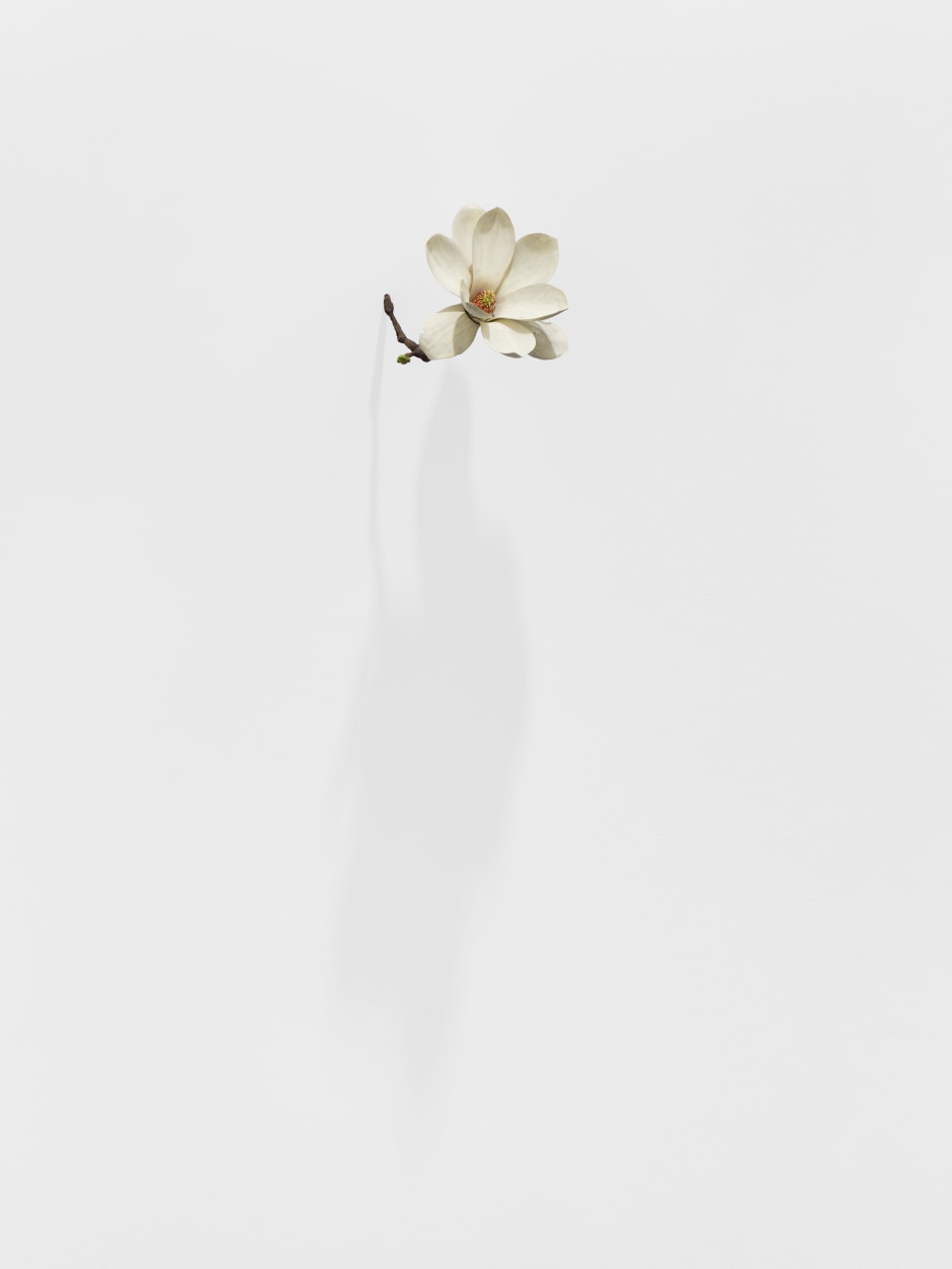 Magnolia, 2024  painted on wood  15 x 13 x 13 cm / 5 ⅞ x 5 ⅛ x 5 ⅛ in  © Suda Yoshihiro. Courtesy of the Artist and Sadie Coles HQ, London.  Photo: Arthur Gray