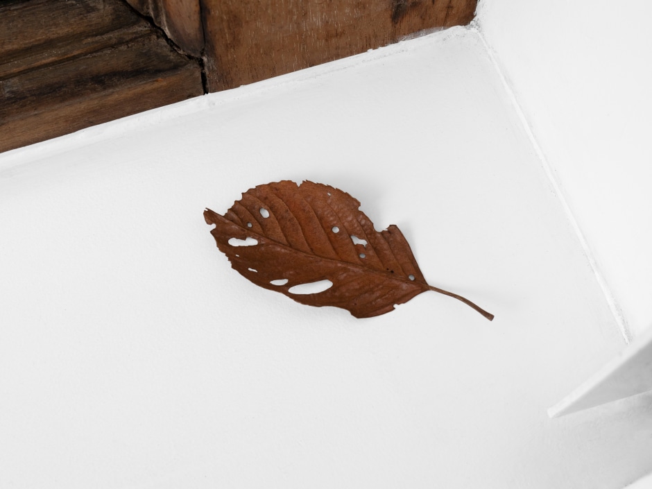 Leaf, 2024  painted on wood  11 x 5 x 1 cm / 4 ⅜ x 2 x ⅜ in  © Suda Yoshihiro. Courtesy of the Artist and Sadie Coles HQ, London.  Photo: Arthur Gray