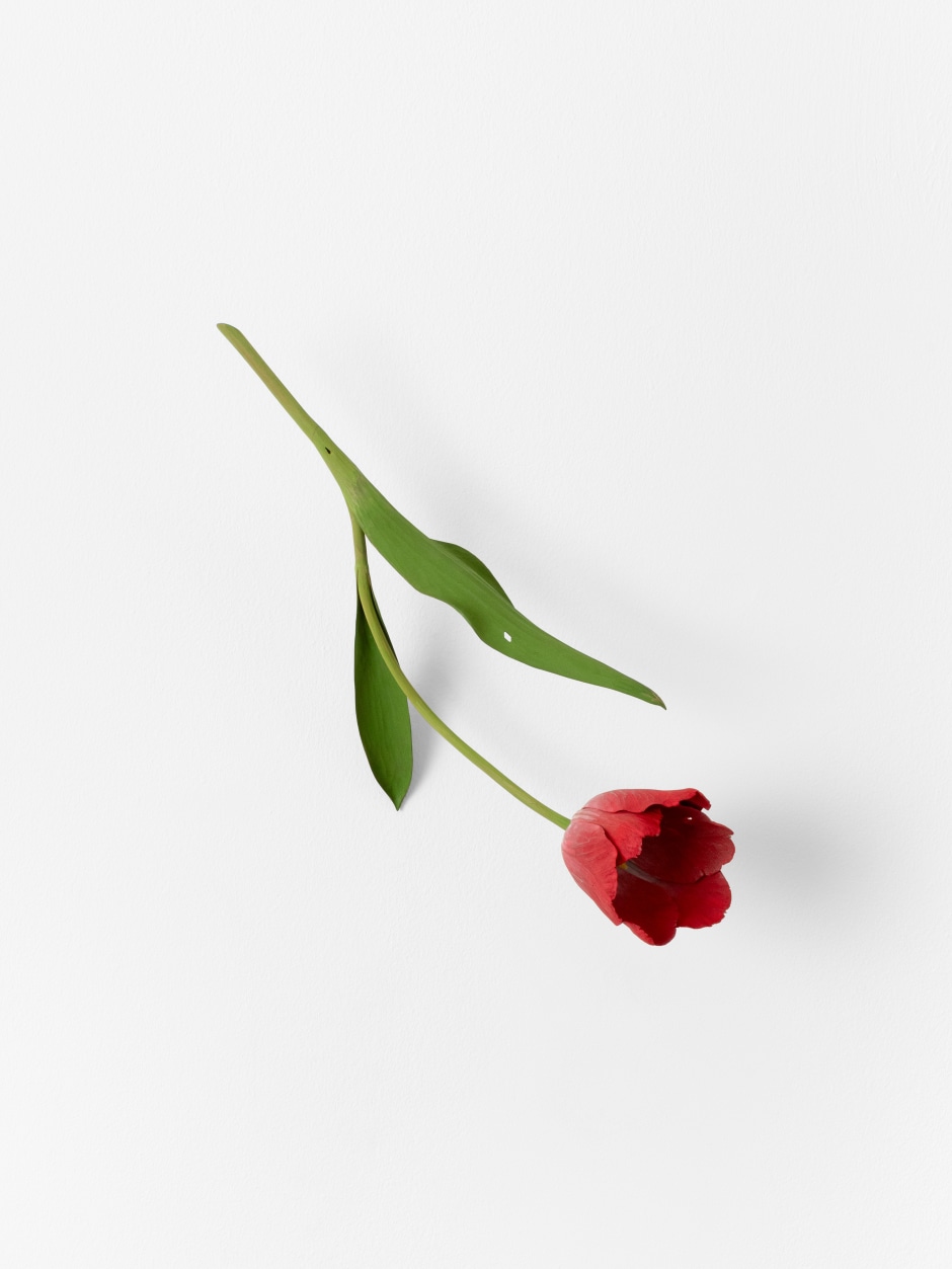 Tulip, 2024  painted on wood  36 x 17 x 15 cm / 14 ⅛ x 6 ¾ x 5 ⅞ in  © Suda Yoshihiro. Courtesy of the Artist and Sadie Coles HQ, London.  Photo: Arthur Gray
