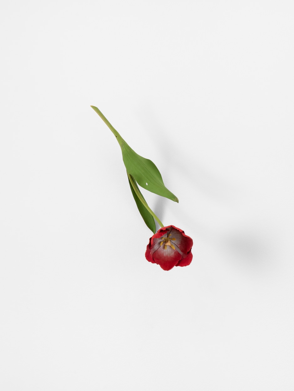Tulip, 2024  painted on wood  36 x 17 x 15 cm / 14 ⅛ x 6 ¾ x 5 ⅞ in  © Suda Yoshihiro. Courtesy of the Artist and Sadie Coles HQ, London.  Photo: Arthur Gray