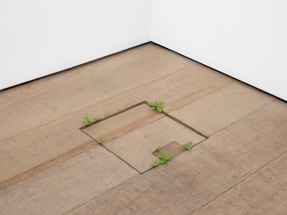 Weeds, 2025  painted on wood  each: 1 x 1 x 1 cm / ⅜ x ⅜ x ⅜ in - 4 x 4 x 1 cm / 1 ⅝ x 1 ⅝ x ⅜ in overall (8 parts): 30 x 24 x 1 cm / 11 ¾ x 9 ½ x ⅜ in