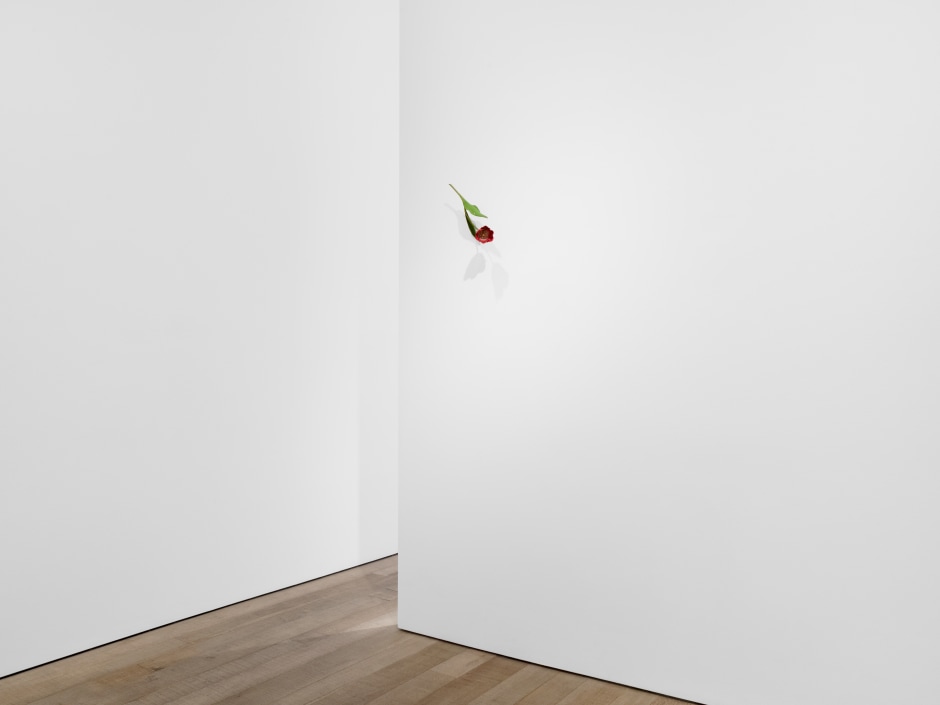 Installation view, Suda Yoshihiro, Sadie Coles HQ, 8 Bury Street SW1Y, 06 February - 29 March 2025  © Suda Yoshihiro. Courtesy of the Artist and Sadie Coles HQ, London.  Photo: Arthur Gray