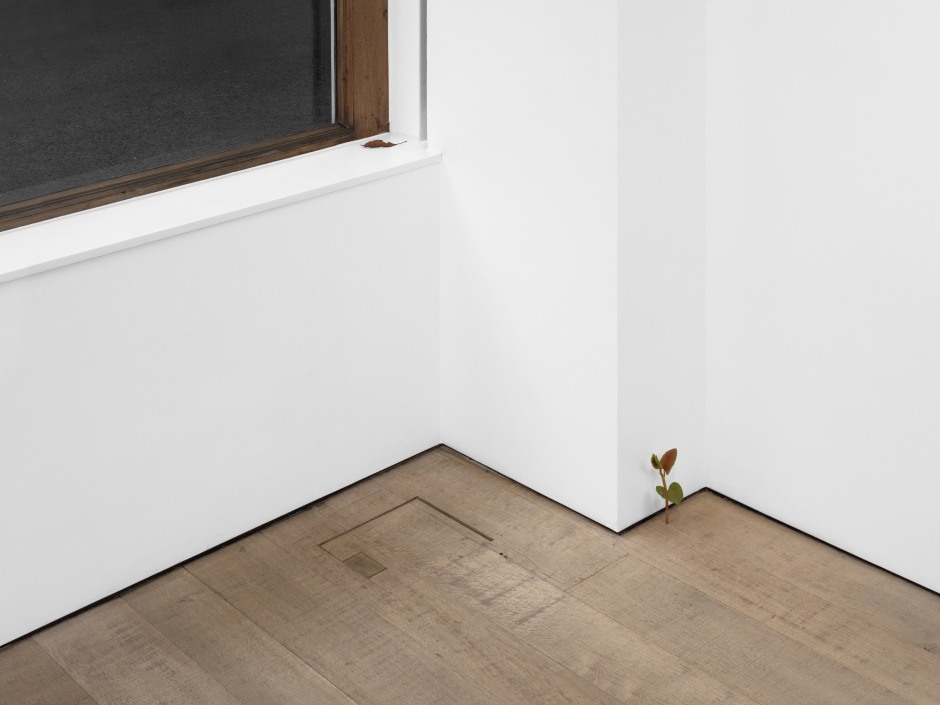 Installation view, Suda Yoshihiro, Sadie Coles HQ, 8 Bury Street SW1Y, 06 February - 29 March 2025  © Suda Yoshihiro. Courtesy of the Artist and Sadie Coles HQ, London.  Photo: Arthur Gray
