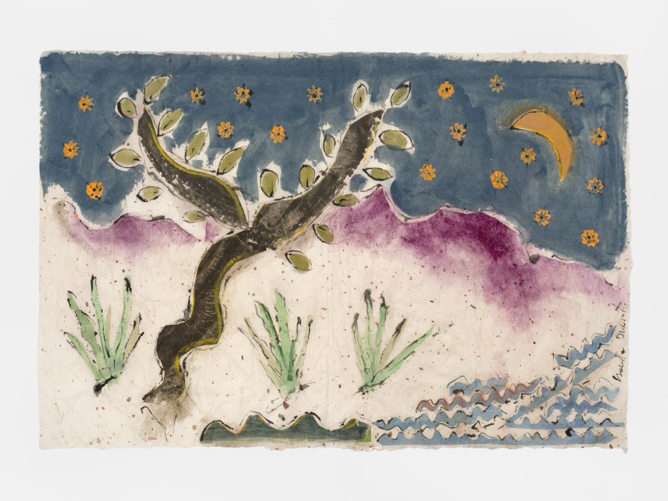 Bella Terra and purple mountain II 2023  China ink, pigments and collage on paper  site size: 63 x 93.5 cm / 24 ¾ x 36 ¾ in frame size: 74 x 104 x 6 cm / 29 ⅛ x 41 x 2 ⅜ in