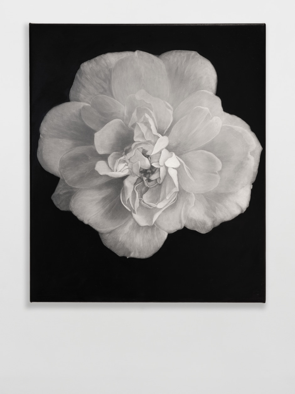 Rose, 2020  unique  Oil on canvas  30 × 25.7 cm  11¾ × 10⅛ in