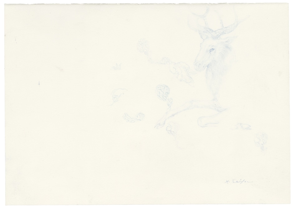 Cerf Bleu, 2015  colour pencil on paper  21 x 29.6 cm / 8 ¼ x 11 ⅝ in