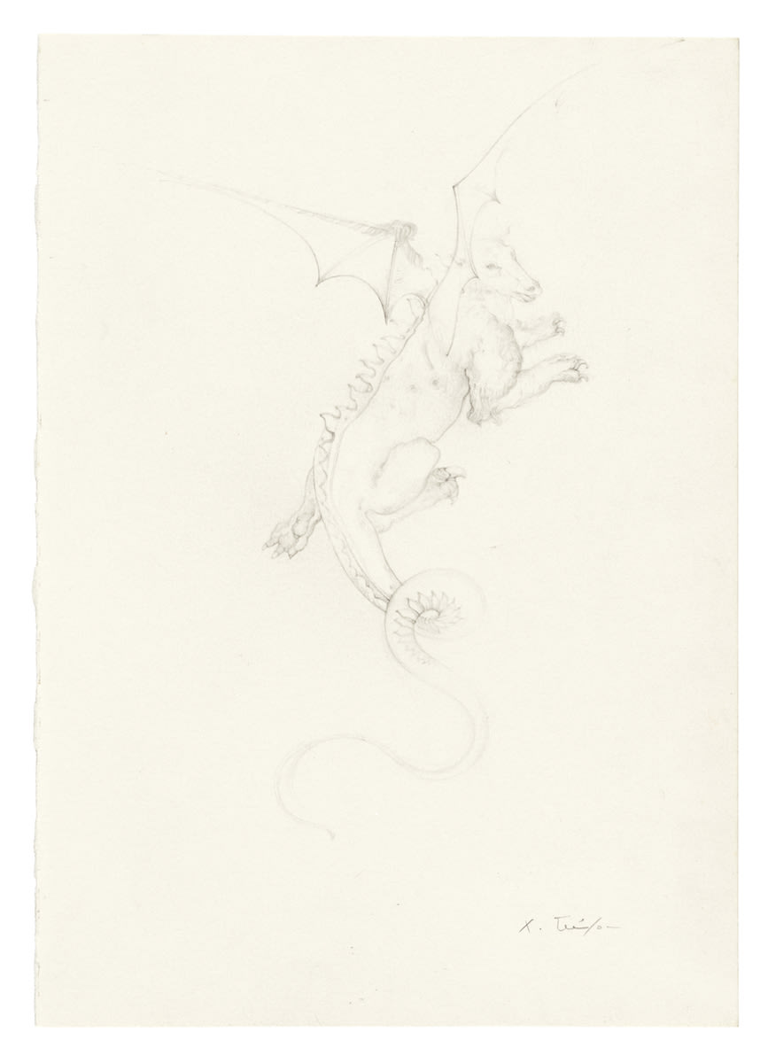 La Chimère, 2013  pencil on paper  42.6 x 33.6 x 3.8 cm 16 1/4 x 13 1/16 x 1 3/16 in