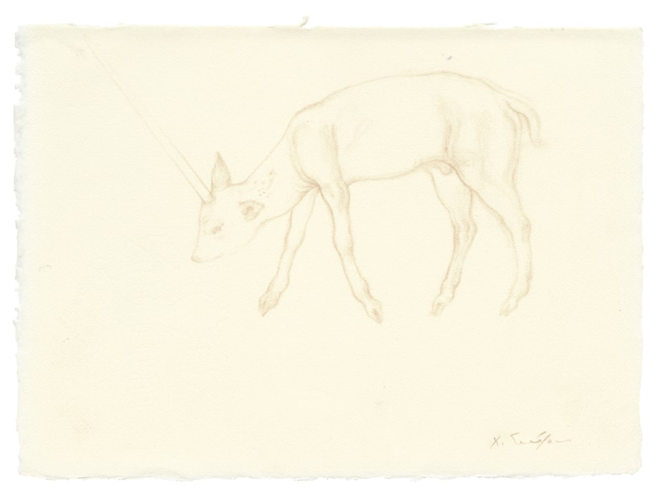 Jeune cerf 2, 2015  colour pencil on paper  14.5 x 20 cm / 5 ¾ x 7 ⅞ in