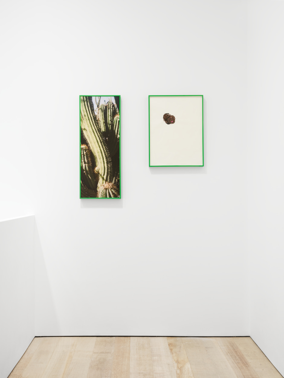Installation view, Martine Syms, SOFT at Sadie Coles HQ, 8 Bury St, London, 25 May - 3 July 2021  Photography by Eva Herzog