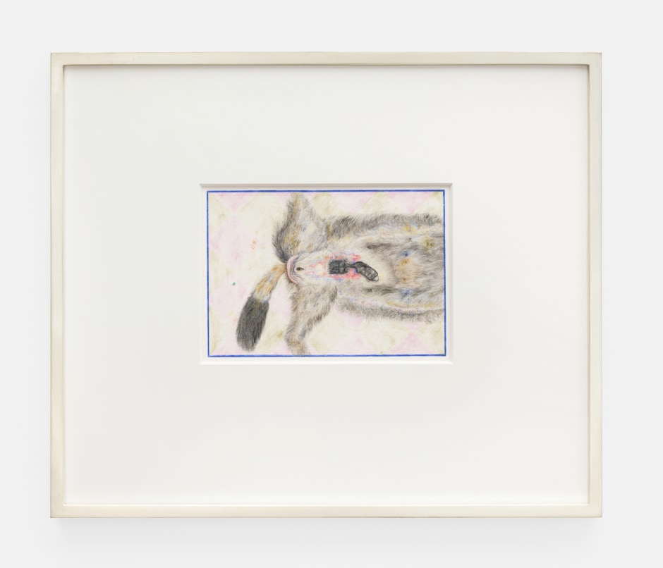 Untitled, 2021  colour pencil on paper  site size: 15.4 x 21.6 cm / 6 ⅛ x 8 ½ in paper size: 30.5 x 45.3 cm / 12 ⅛ x 17 ⅞ in frame size: 41 x 48.2 x 2.5 cm / 16 ⅛ x 19 x 1 in