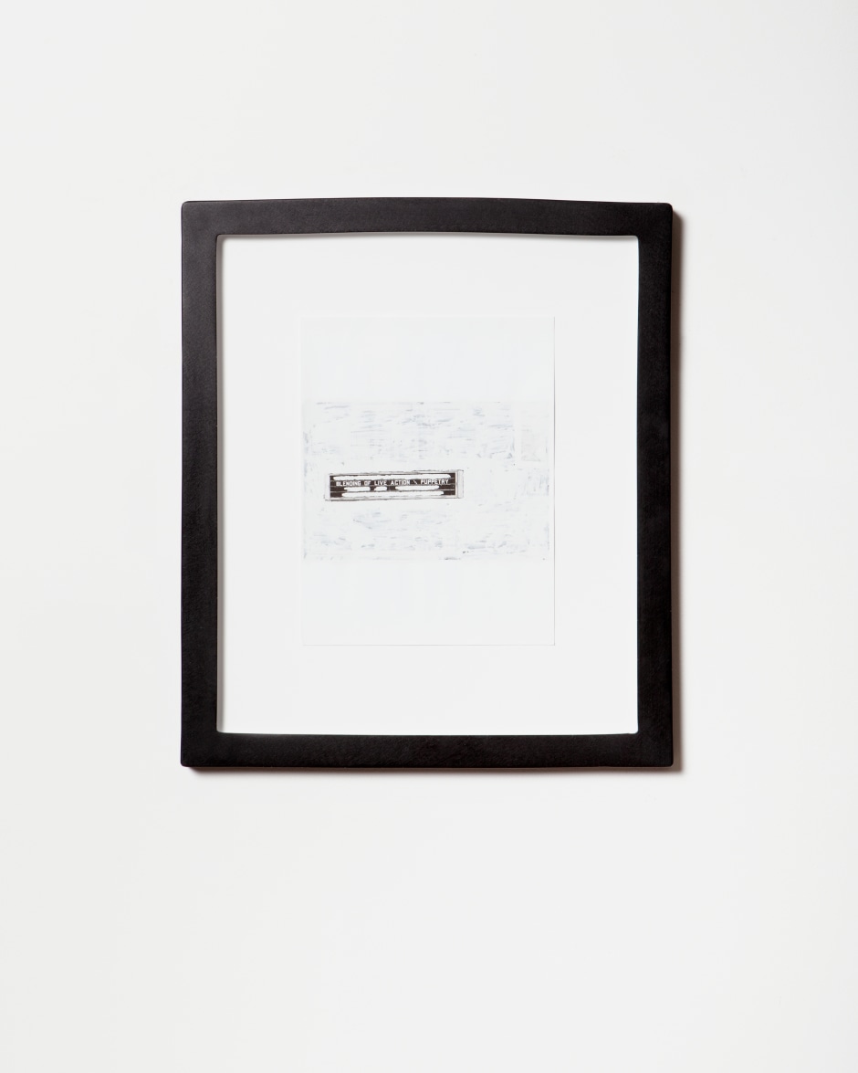 American Speech (Blending Of Live Action And Puppetry), 2019  Inkjet and Wite-Out on paper, cast polyester resin frame, plexiglass, mat-board, coroplast, wooden strainer, hardware  site size: 27.9 x 21.6 cm / 11 x 8 ½ in frame size: 43.2 x 38.1 x 2.5 cm / 17 x 15 x 1 in