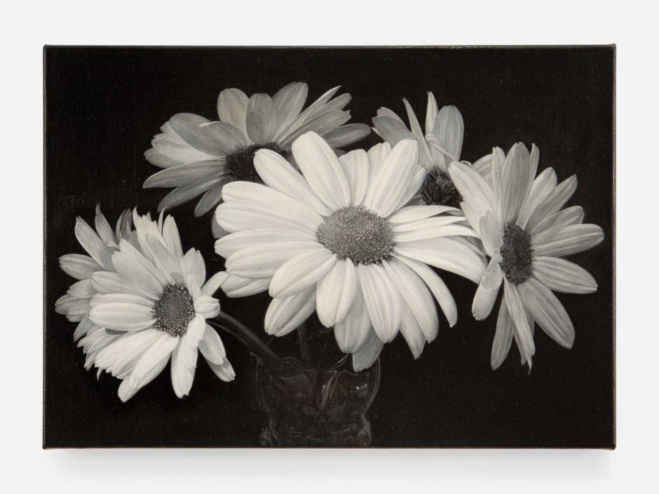Don Brown  Daisies, 2023  oil on linen  25.2 x 35.5 x 2 cm / 9 ⅞ x 14 x ¾ in.  © Don Brown, courtesy Sadie Coles HQ, London  Photo: Katie Morrison