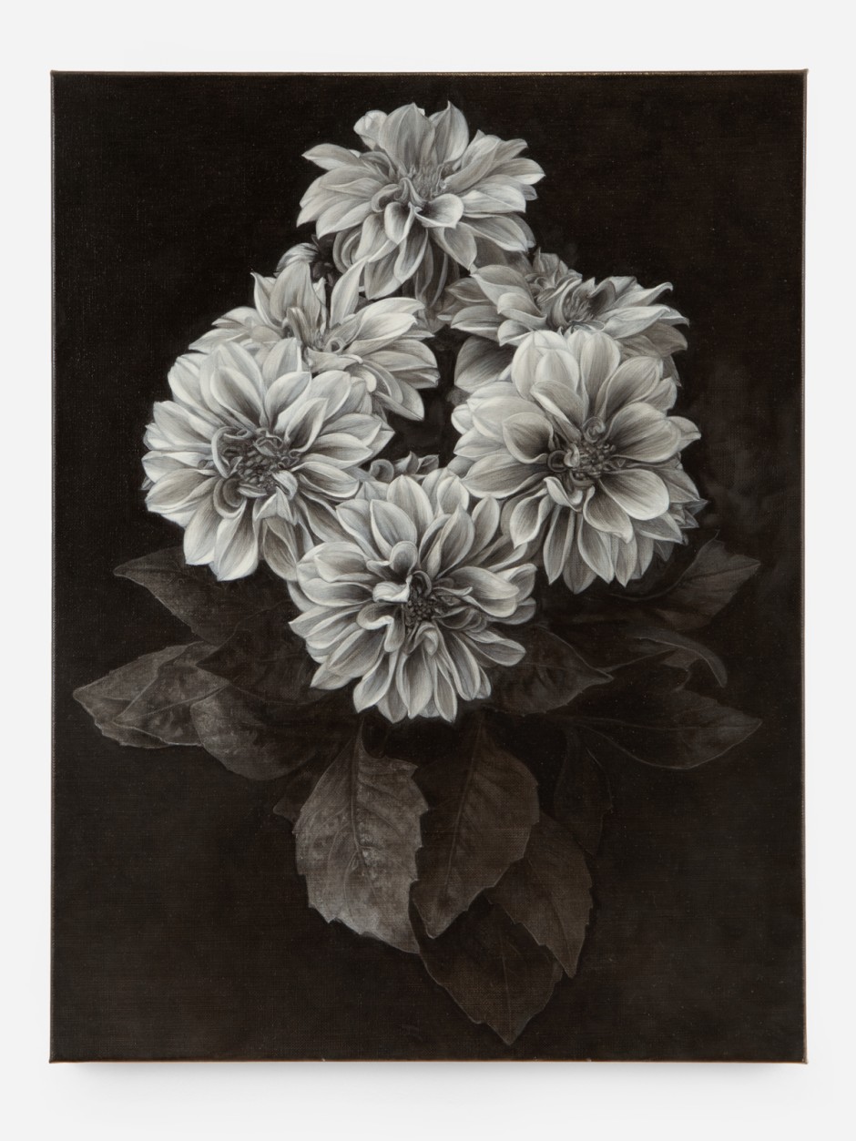 Don Brown  Dahlia, 2023  oil on linen  50.4 x 38.2 x 2 cm / 19 ⅞ x 15 x ¾ in.  © Don Brown, courtesy Sadie Coles HQ, London  Photo: Katie Morrison