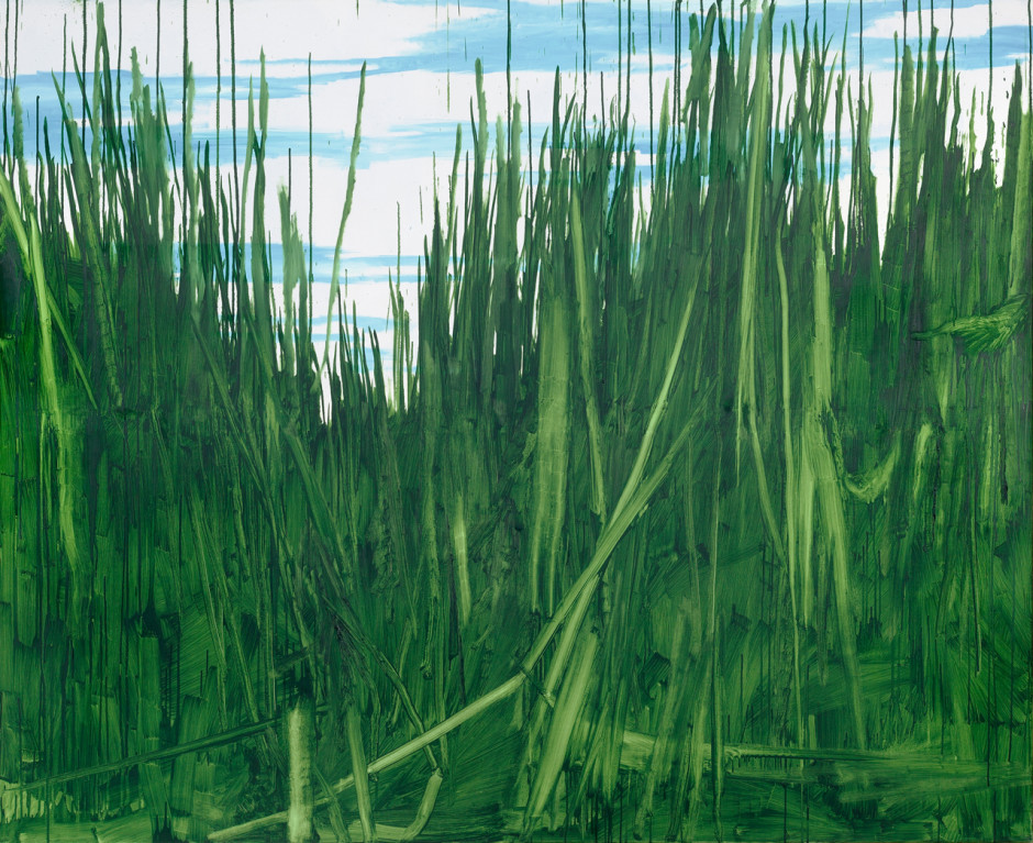 Grass, 2013