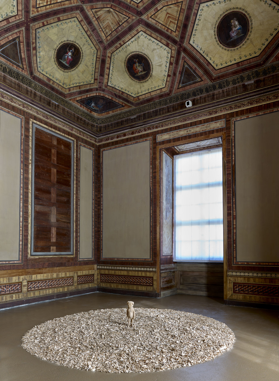 Kampfhund, installation view, Root of a Dream, Paloma Varga Weisz, Castello di Rivoli, Turin, 2016
