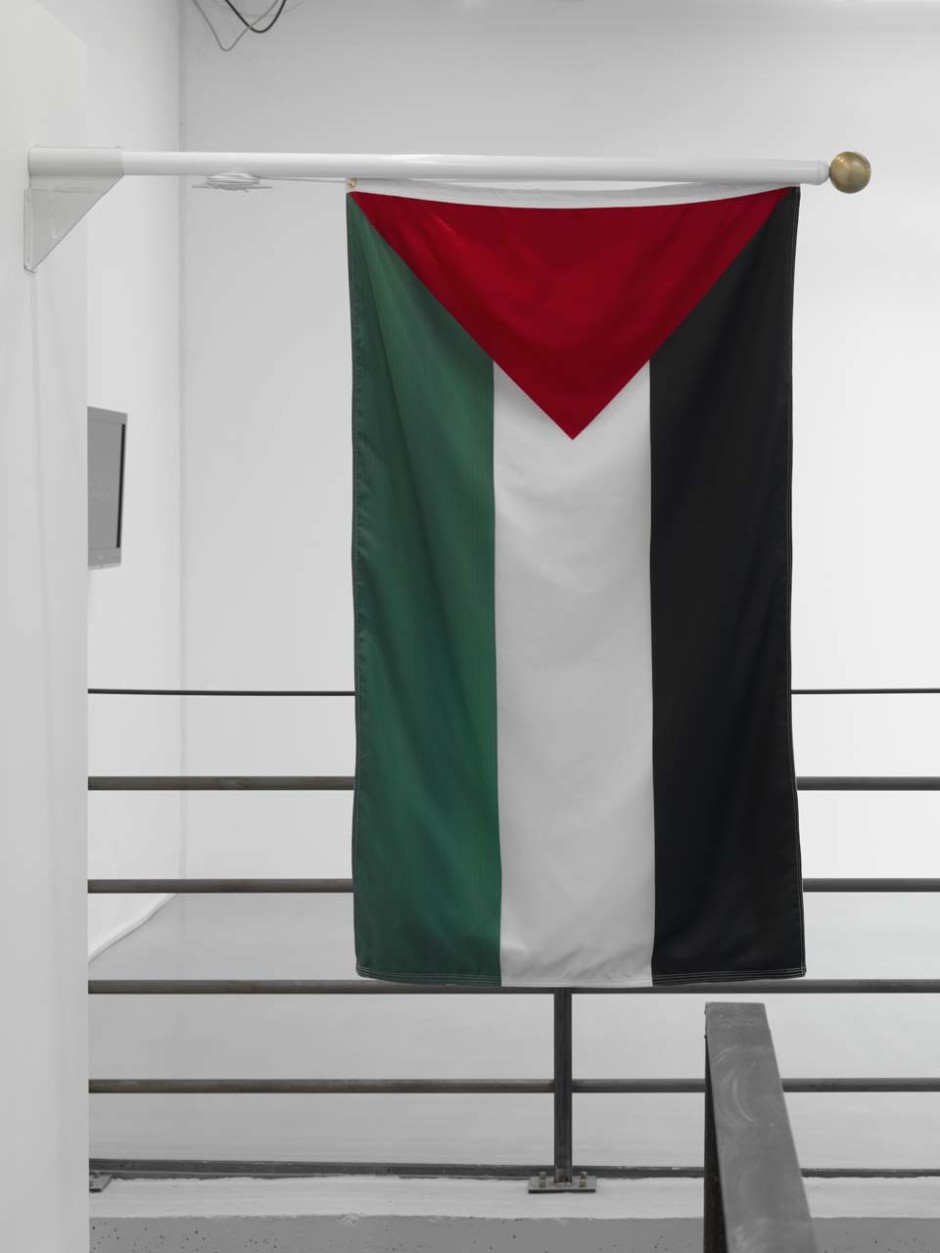 Israeli/Palestinian Flag, 2010