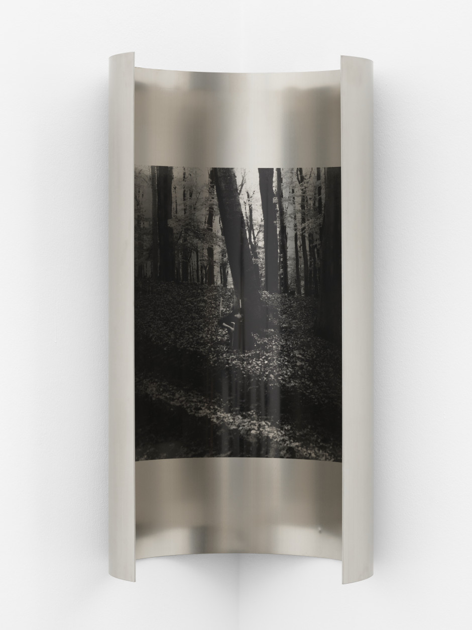 Refined Still Life No.9, 2021  stainless steel, silkscreen print  100 x 53 x 42.5 cm / 39 ⅜ x 20 ⅞ x 16 ¾ in