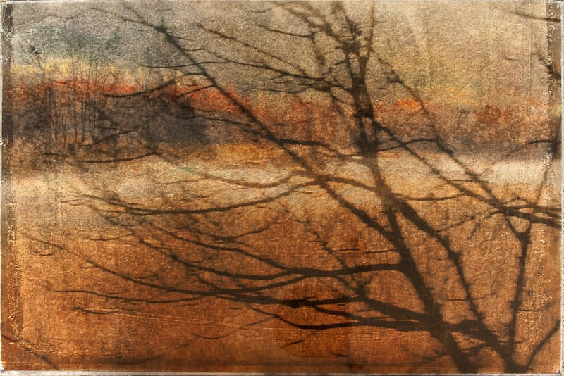 Dorothy Simpson Krause, Through the Mist, 2011