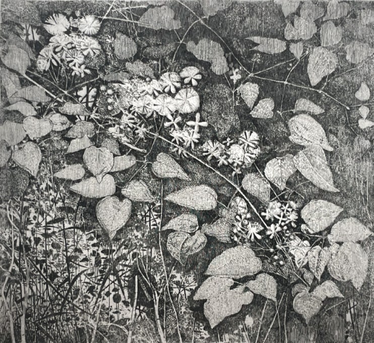 CHARLES DONKER
