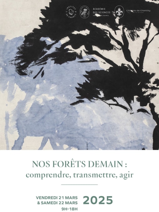 « NOS FORÊTS DEMAIN » une rencontre pour comprendre, transmettre et agir 21 - 22 MARS 2025 À L'INSTITUT DE FRANCE, PARIS