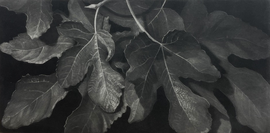 ARRIVÉE DE NOUVELLES GRAVURES DE judith rothchild À VOIR À LA GALERIE