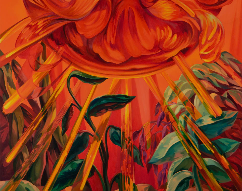 Rachel MacFarlane: Afterlight