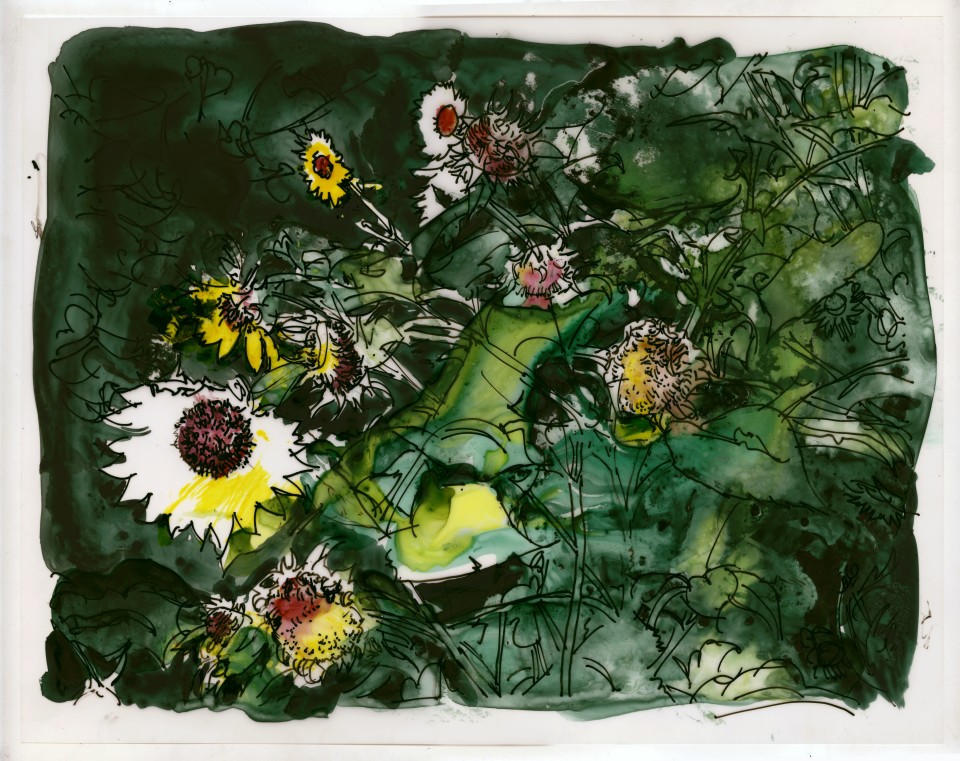 Image: Jimmy Wright  Sunflower No. 1, 2018  signed and dated recto  ink on Yupo Paper  11 x 14 inches (27.9 x 35.6 cm)