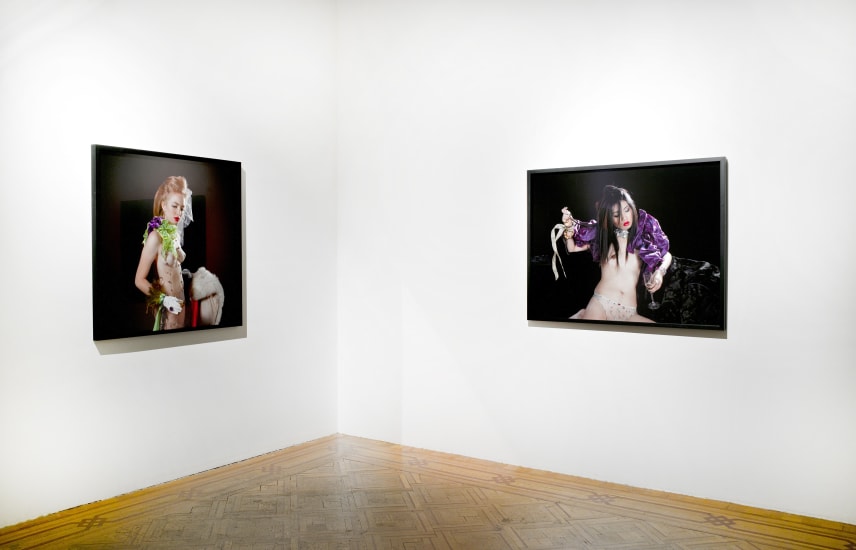 "Terry Rodgers - Approximations of the sublime" exhibition view Aeroplastics @ Rue Blanche Str., 2013