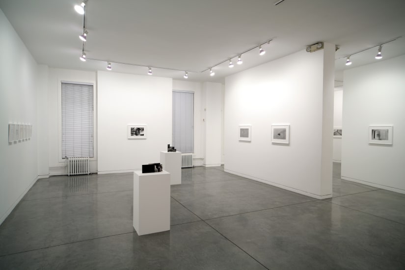 Will Rogan Stay Home, 2010 Installation view