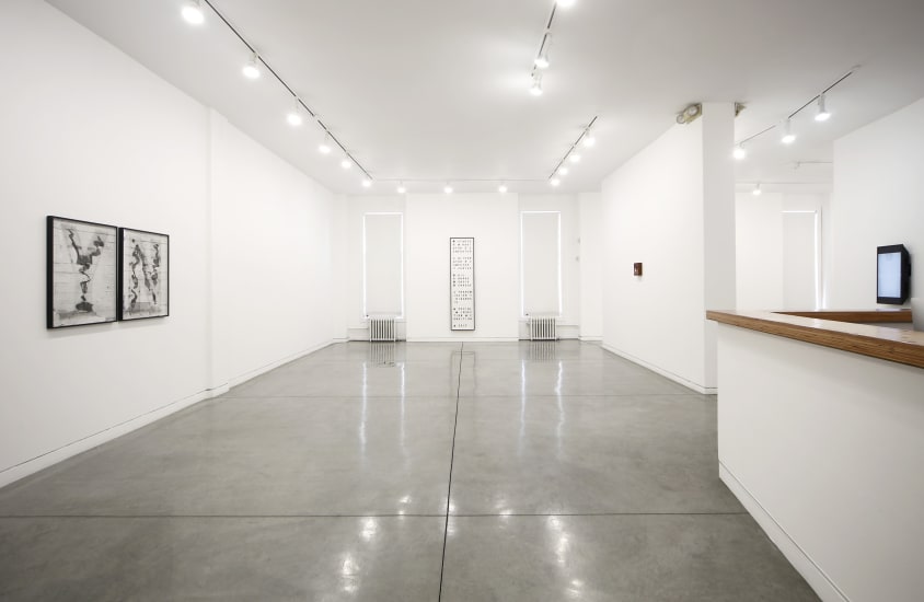 Of Echo Systems, 2016 Installation view