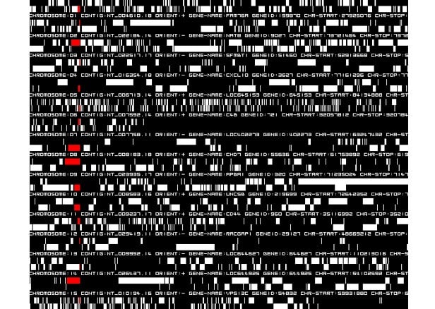 Ryoji Ikeda, Concert Datamatics Susan Philipsz, The Two Sisters, MONA FOMA festival, Hobart (Co-Curator Olivier Varenne)