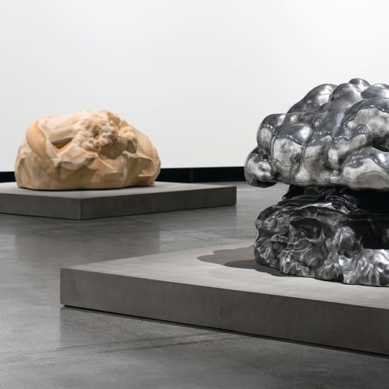 Jean-Luc Moulène and Teams , Mona, Hobart (Olivier Varenne - Commissioner of Jean-Luc Mouléne)