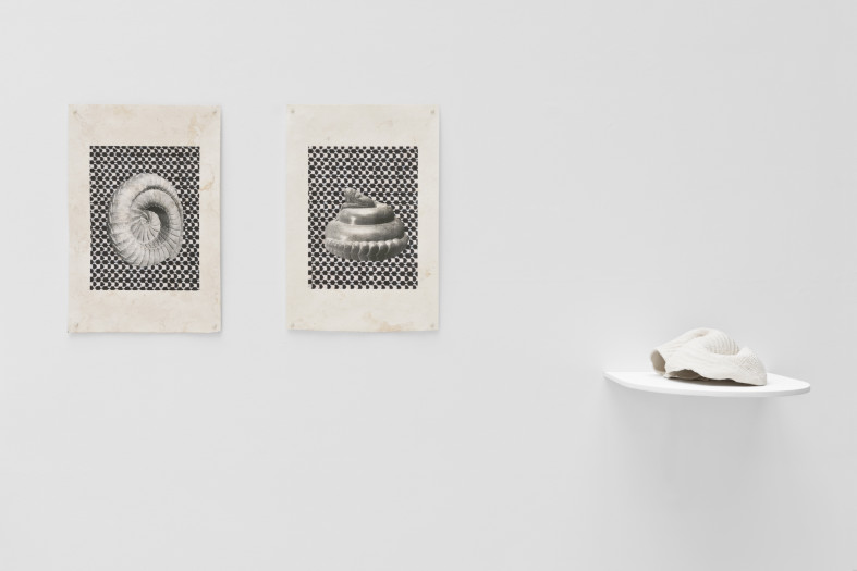 Lucía PIZZANI, Installation View of 'Coraza'' at Cecilia Brunson Projects, London, 2019
