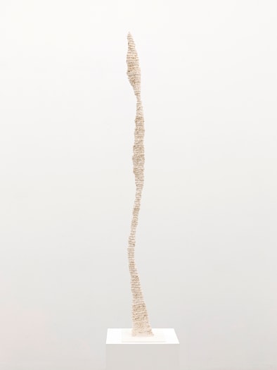 Stijn Ank, Untitled, 2024