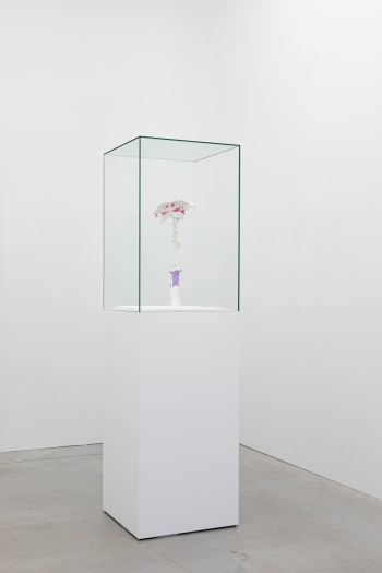 Stijn Ank, Untitled (29.2024), 2024