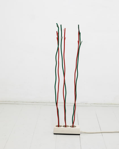 Christophe Lezaire, 220 V, 2025