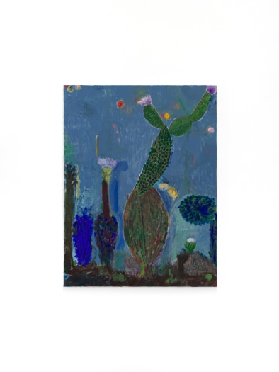 Dirk Zoete, Cactus studie, 2024